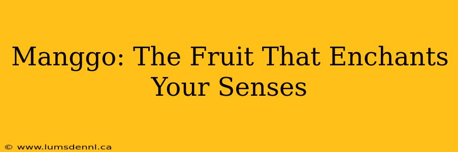 Manggo: The Fruit That Enchants Your Senses