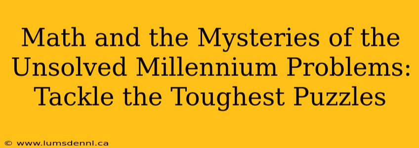 Math and the Mysteries of the Unsolved Millennium Problems: Tackle the Toughest Puzzles