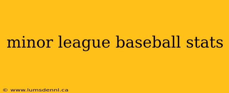 minor league baseball stats