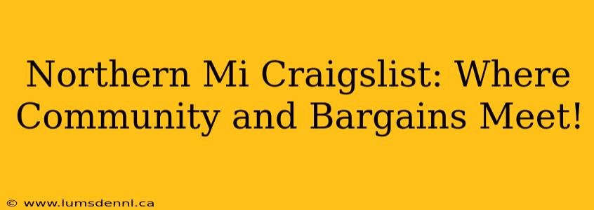 Northern Mi Craigslist: Where Community and Bargains Meet!