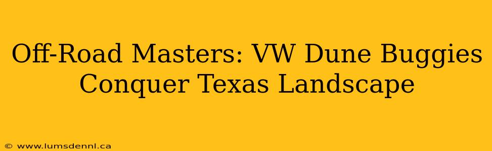 Off-Road Masters: VW Dune Buggies Conquer Texas Landscape