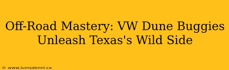 Off-Road Mastery: VW Dune Buggies Unleash Texas's Wild Side