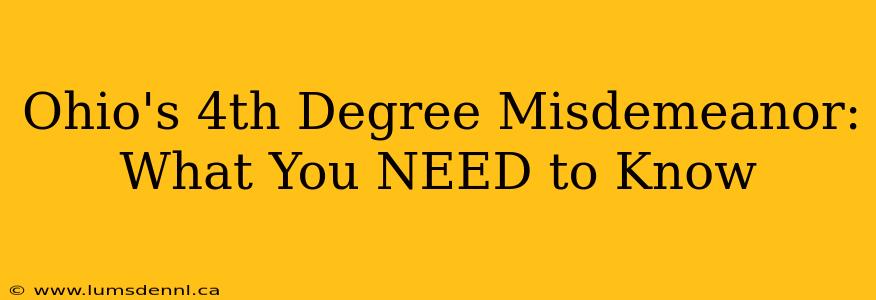 Ohio's 4th Degree Misdemeanor: What You NEED to Know