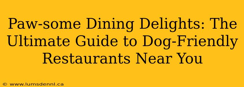 Paw-some Dining Delights: The Ultimate Guide to Dog-Friendly Restaurants Near You