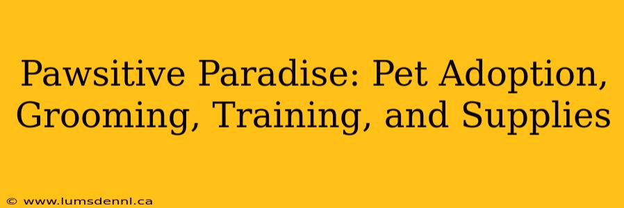 Pawsitive Paradise: Pet Adoption, Grooming, Training, and Supplies
