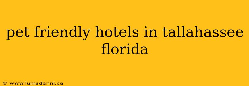 pet friendly hotels in tallahassee florida