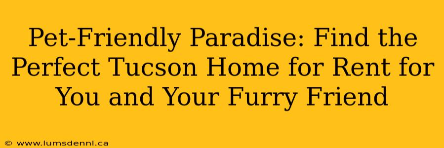 Pet-Friendly Paradise: Find the Perfect Tucson Home for Rent for You and Your Furry Friend