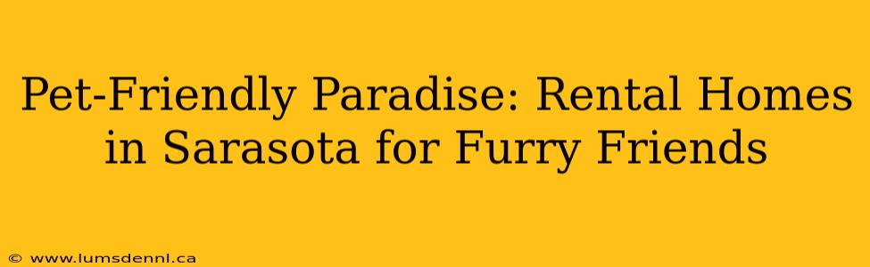 Pet-Friendly Paradise: Rental Homes in Sarasota for Furry Friends