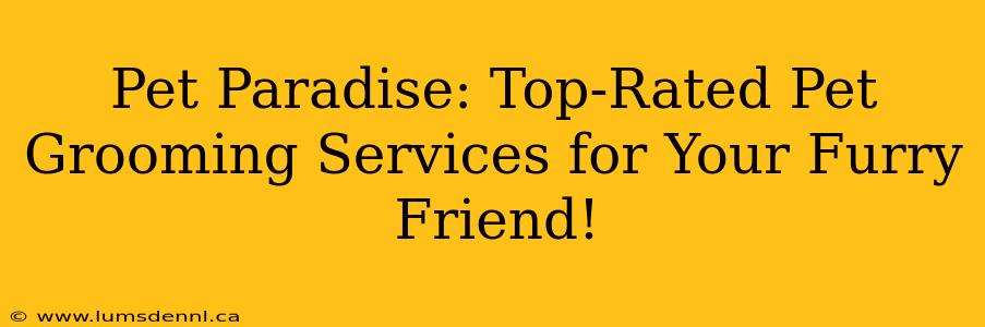 Pet Paradise: Top-Rated Pet Grooming Services for Your Furry Friend!