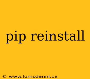 pip reinstall