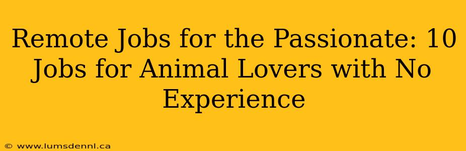 Remote Jobs for the Passionate: 10 Jobs for Animal Lovers with No Experience