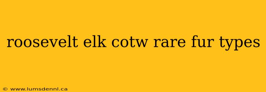 roosevelt elk cotw rare fur types