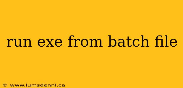 run exe from batch file