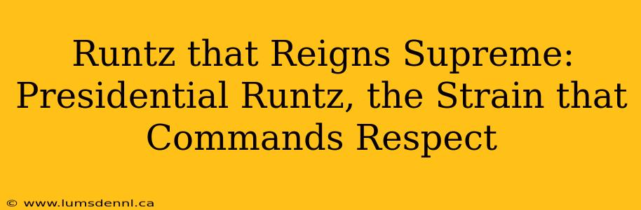 Runtz that Reigns Supreme: Presidential Runtz, the Strain that Commands Respect