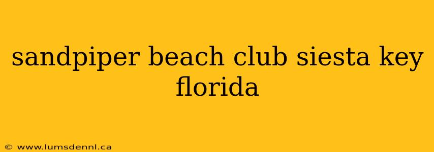 sandpiper beach club siesta key florida