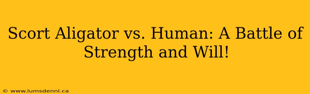 Scort Aligator vs. Human: A Battle of Strength and Will!