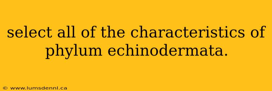 select all of the characteristics of phylum echinodermata.
