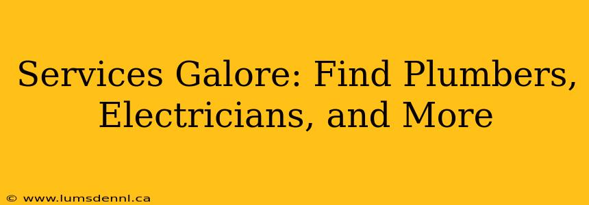 Services Galore: Find Plumbers, Electricians, and More