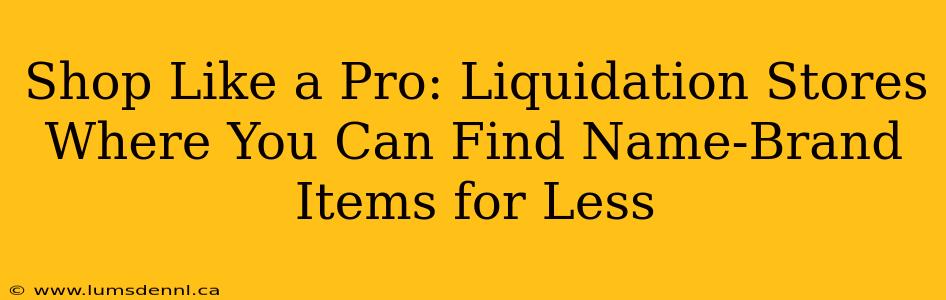 Shop Like a Pro: Liquidation Stores Where You Can Find Name-Brand Items for Less