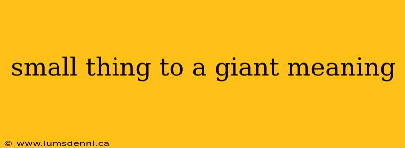 small thing to a giant meaning