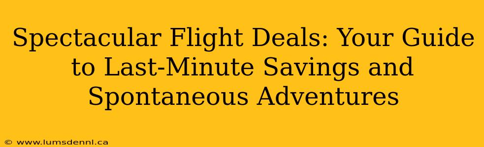 Spectacular Flight Deals: Your Guide to Last-Minute Savings and Spontaneous Adventures