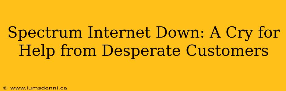Spectrum Internet Down: A Cry for Help from Desperate Customers
