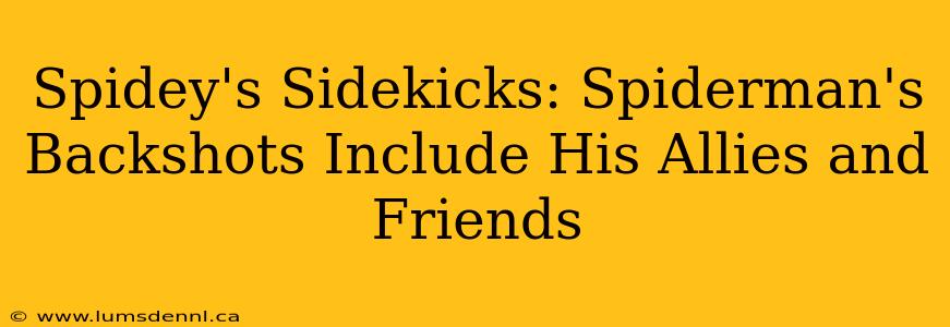 Spidey's Sidekicks: Spiderman's Backshots Include His Allies and Friends
