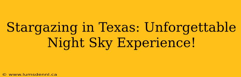 Stargazing in Texas: Unforgettable Night Sky Experience!