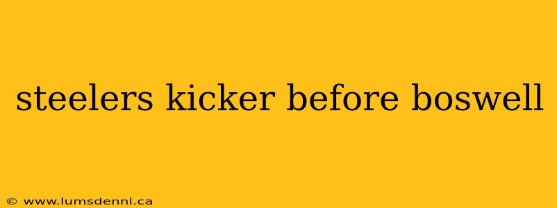 steelers kicker before boswell