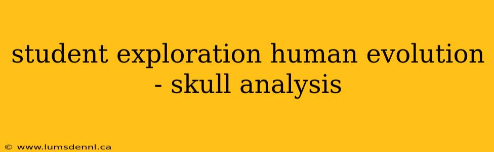 student exploration human evolution - skull analysis