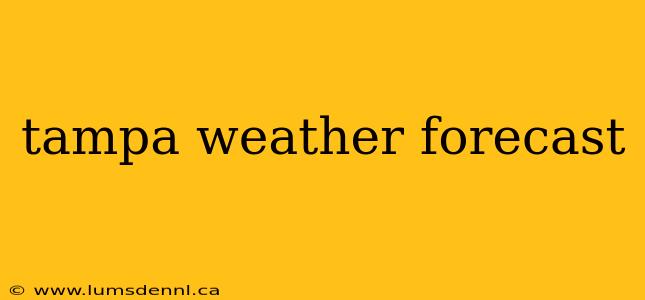 tampa weather forecast