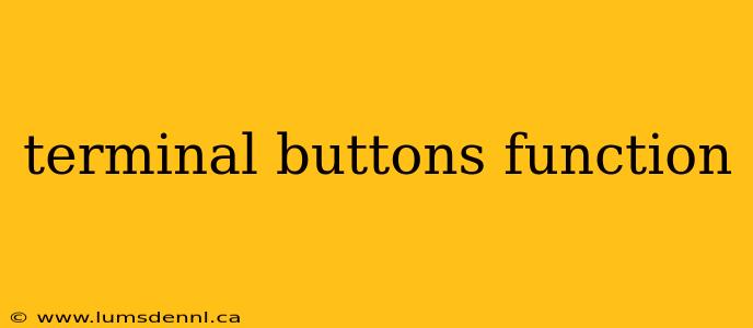 terminal buttons function