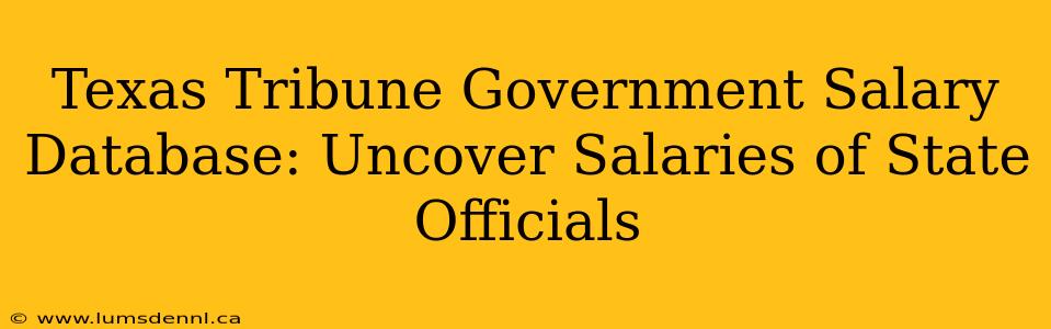 Texas Tribune Government Salary Database: Uncover Salaries of State Officials
