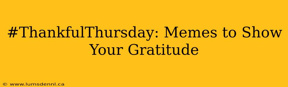 #ThankfulThursday: Memes to Show Your Gratitude
