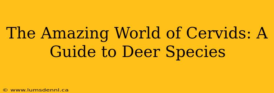 The Amazing World of Cervids: A Guide to Deer Species