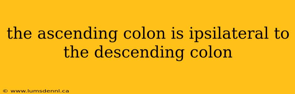 the ascending colon is ipsilateral to the descending colon