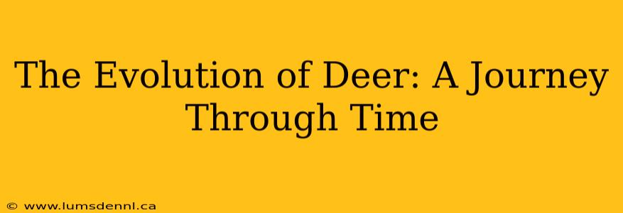 The Evolution of Deer: A Journey Through Time