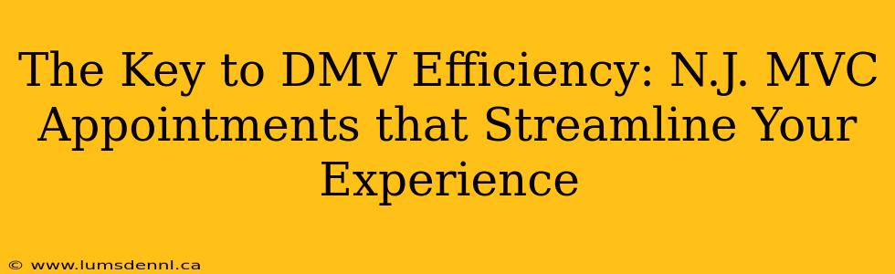 The Key to DMV Efficiency: N.J. MVC Appointments that Streamline Your Experience