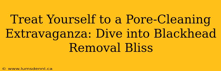 Treat Yourself to a Pore-Cleaning Extravaganza: Dive into Blackhead Removal Bliss