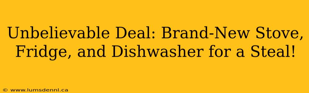 Unbelievable Deal: Brand-New Stove, Fridge, and Dishwasher for a Steal!