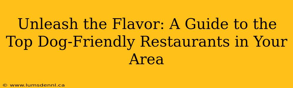 Unleash the Flavor: A Guide to the Top Dog-Friendly Restaurants in Your Area