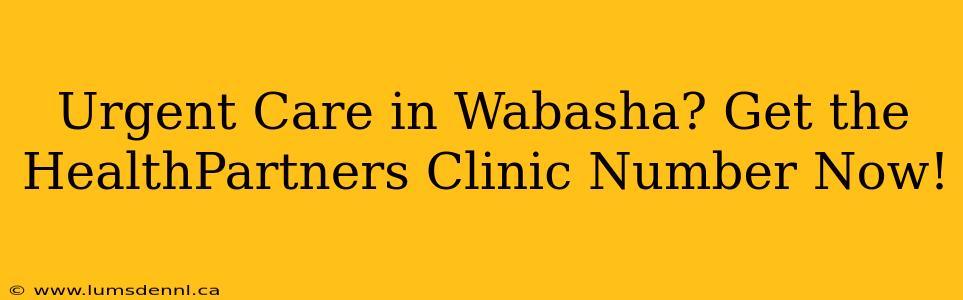 Urgent Care in Wabasha? Get the HealthPartners Clinic Number Now!