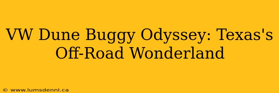 VW Dune Buggy Odyssey: Texas's Off-Road Wonderland