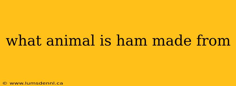 what animal is ham made from