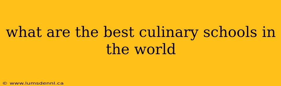 what are the best culinary schools in the world
