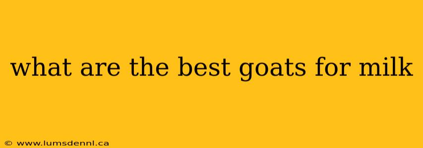 what are the best goats for milk