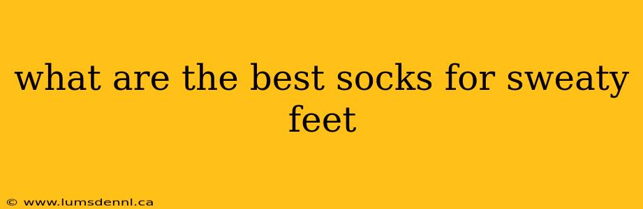 what are the best socks for sweaty feet