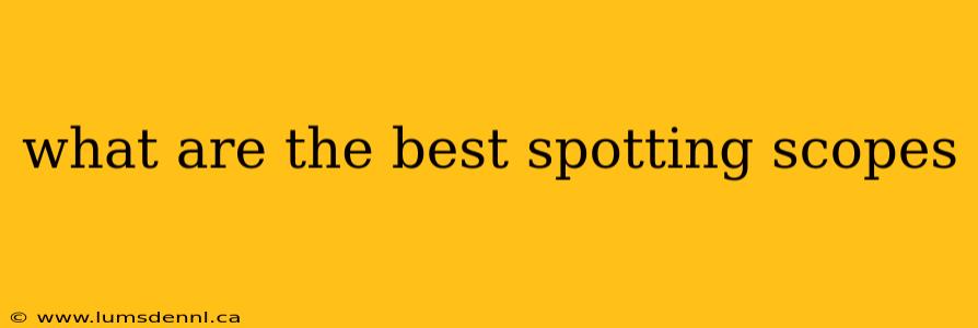 what are the best spotting scopes