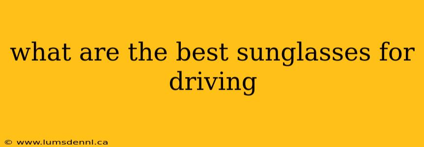 what are the best sunglasses for driving