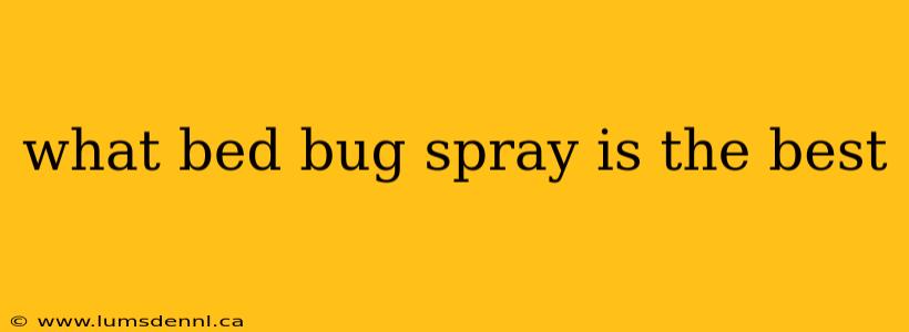 what bed bug spray is the best